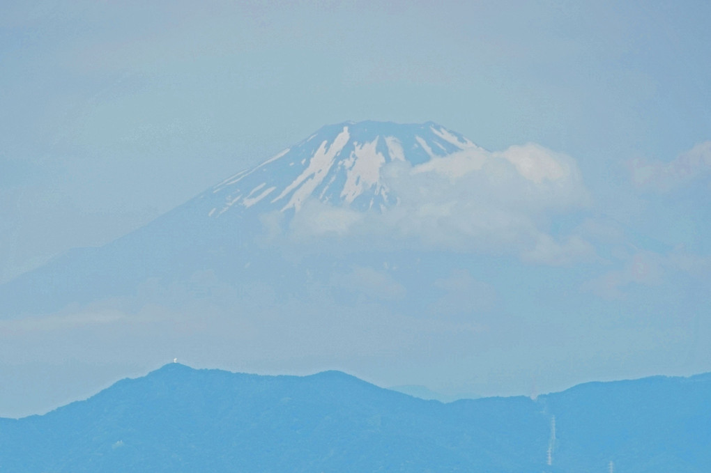 中休み　残雪減りし　富士が見え ♬