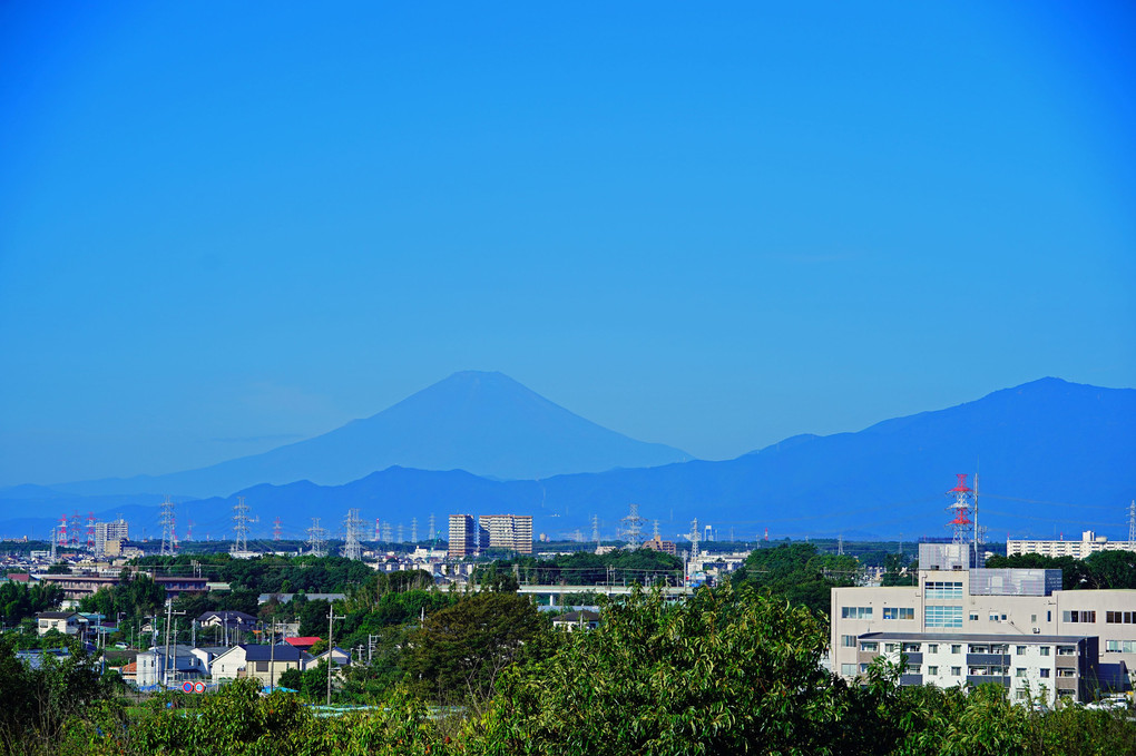 お久しぶり　今朝の富士山！