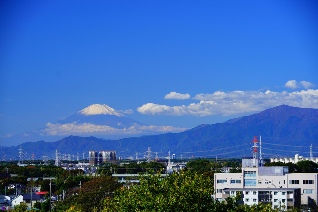 今朝はクッキリ富士山が見えました ♬