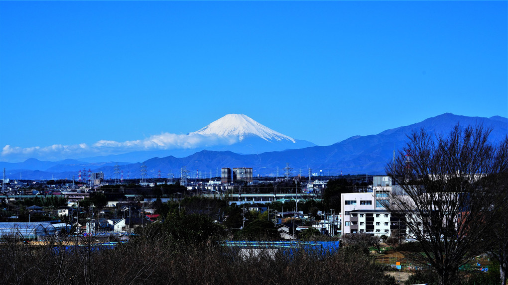 先日の嵐の置き土産　クリアーな空と　綺麗な富士山！