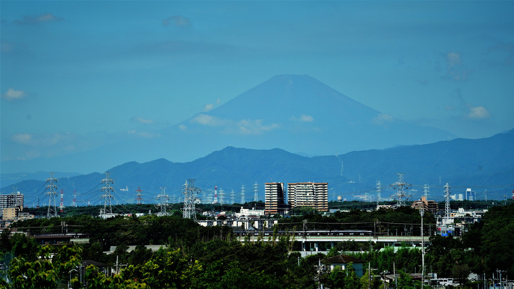 久しぶりの富士山　相鉄いずみ野線車両を前に❣