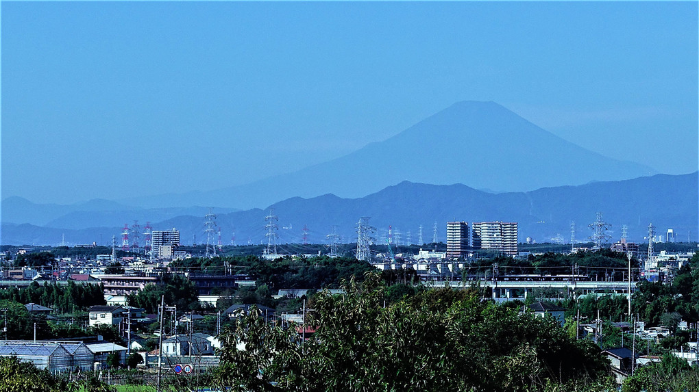 今朝の富士山　相鉄・いずみ野線「ヨコハマネイビーブルー」の車両を前にして❣