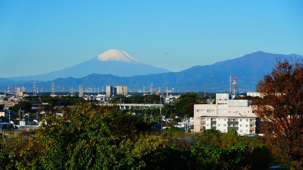 今朝の富士山　相鉄・いずみ野線「ヨコハマネイビーブルー」の車両と共に！
