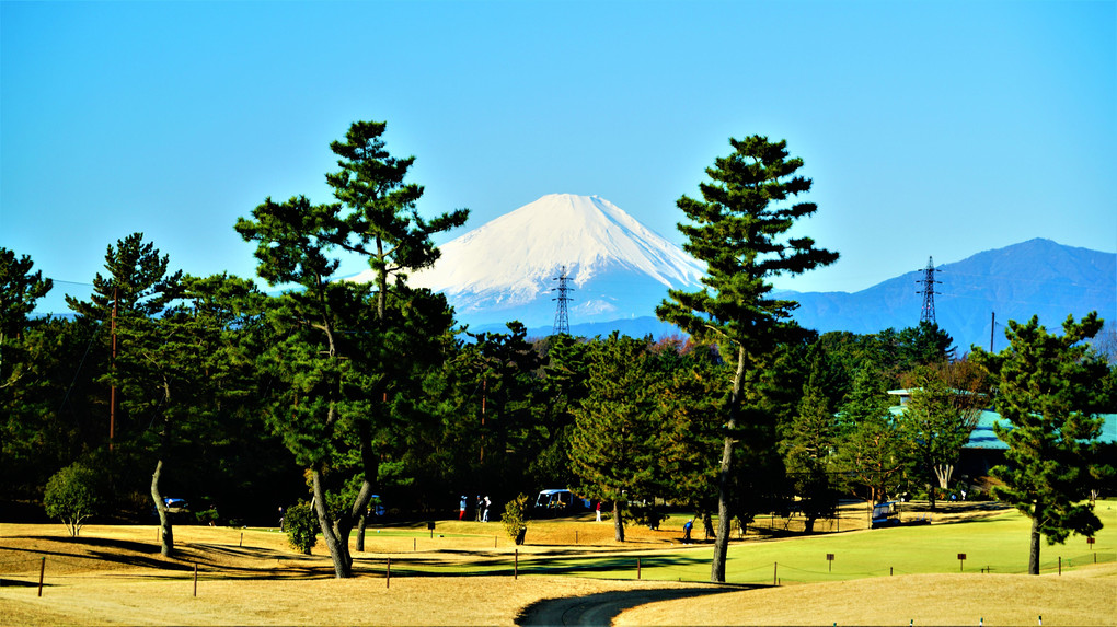 ゴルフ場から愛でる今朝の富士山 🗻