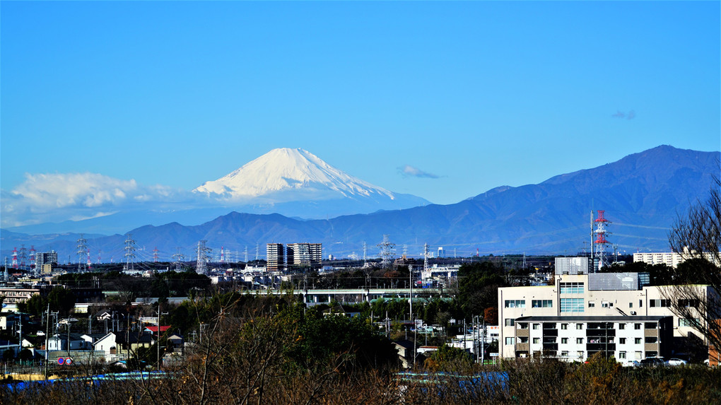 今朝の富士山 🗻　厚木基地へ向かう哨戒機と相鉄・いずみ野線の車両と共に❣