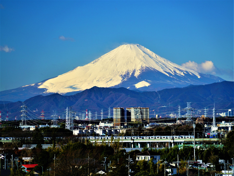 富士山 🗻　の前を行く相鉄・いずみ野線車両❣