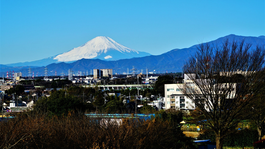 北風でクリアーの空の下　今朝の富士山 🗻