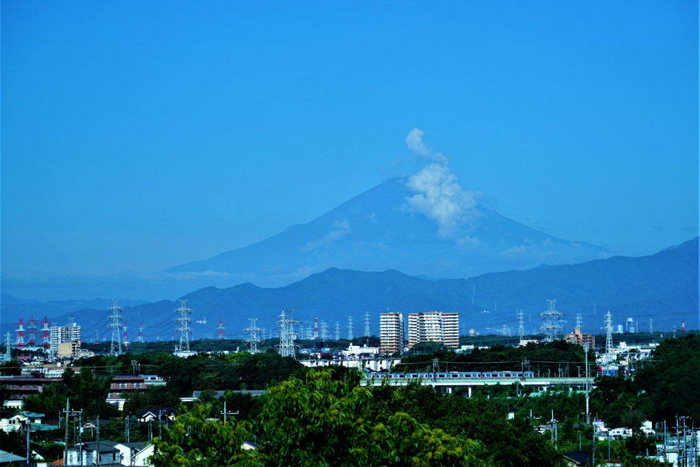 お久しぶり　今朝の富士山 🗻　相鉄いずみ野電車と共に