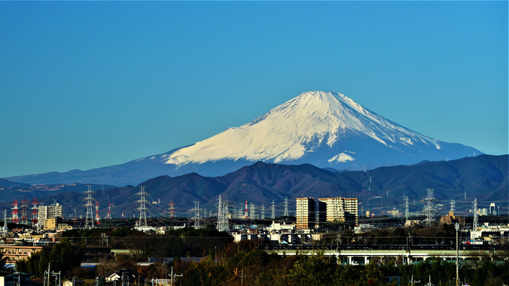 今朝の富士山　相鉄・いずみ野線「ヨコハマネイビーブルー」の車両と共に！