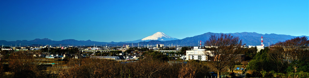 富士山を中心に右に大山・丹沢，左に箱根の峰々