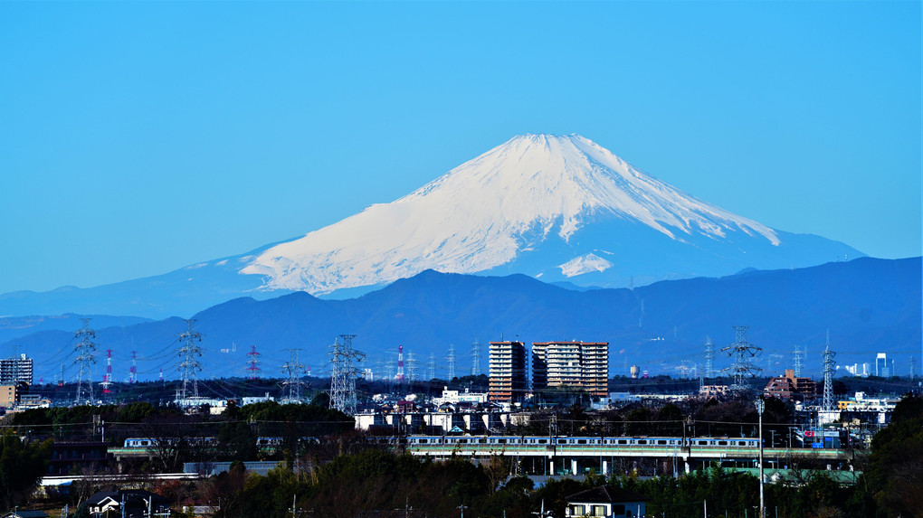 今朝の富士山　相鉄・いずみ野線の車両と共に！