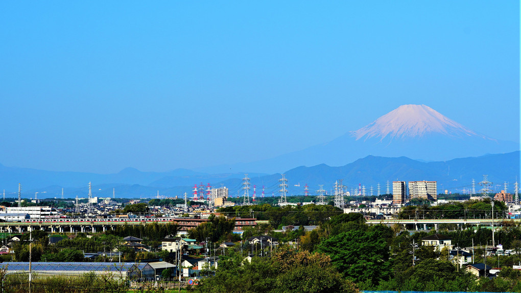 富士山の前へ向かって疾走する相鉄線・東横線直通の東急車両❣