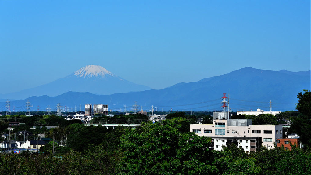 相模の主峰大山を前にした富士山 🗻　