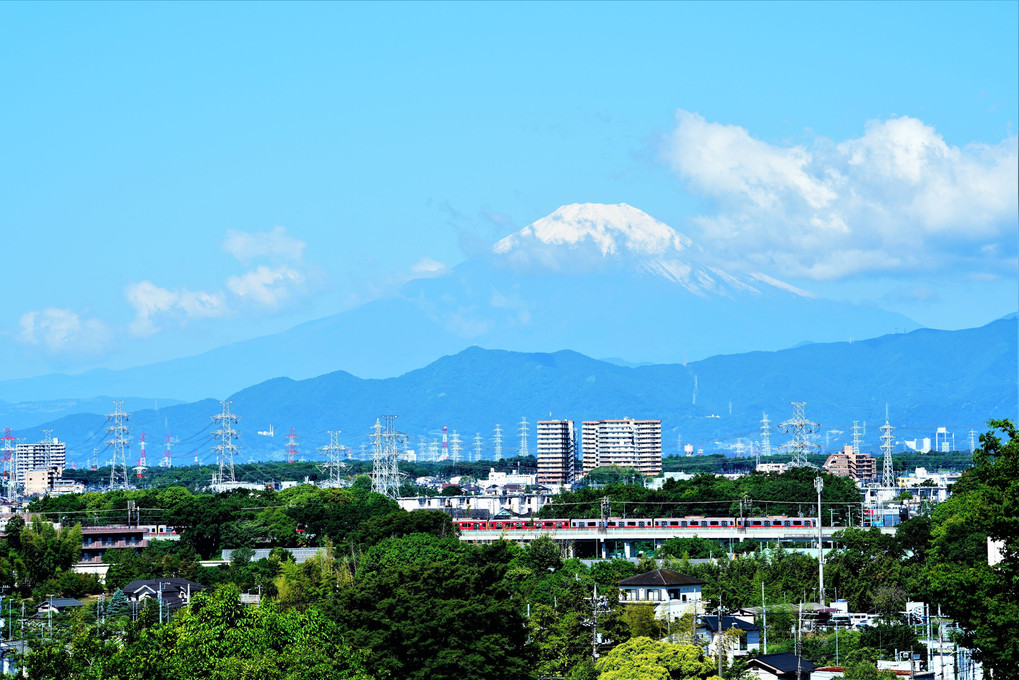 今朝の富士山　相鉄・いずみ野線 東横線直通電車の車両と共に！