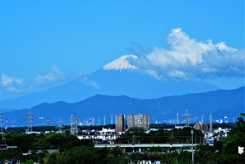 久しぶりにクッキリ見えた富士山 🗻