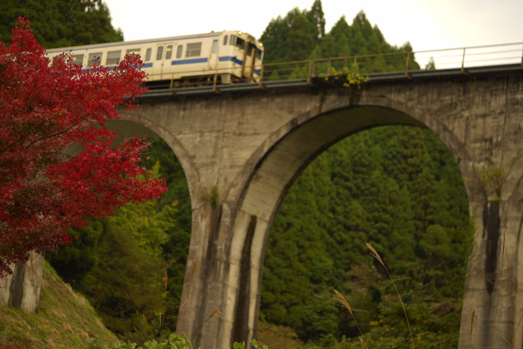 紅葉、電車と秋の空。