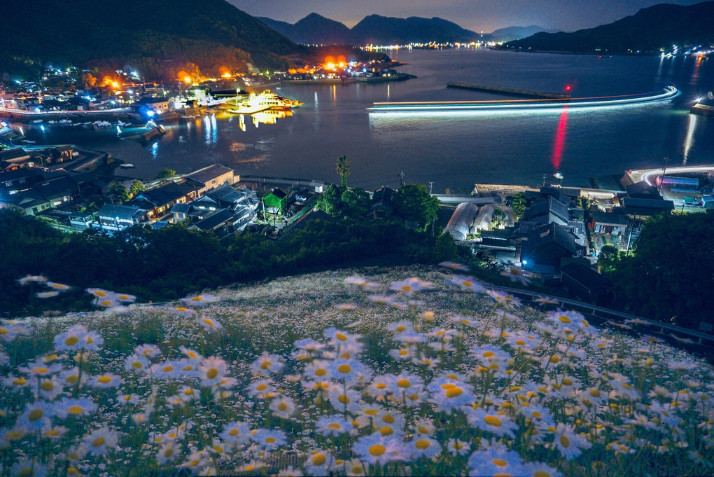 広島 因島の除虫菊 重井港の夜景