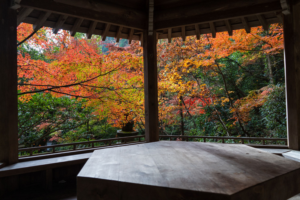 広島　三滝寺の紅葉
