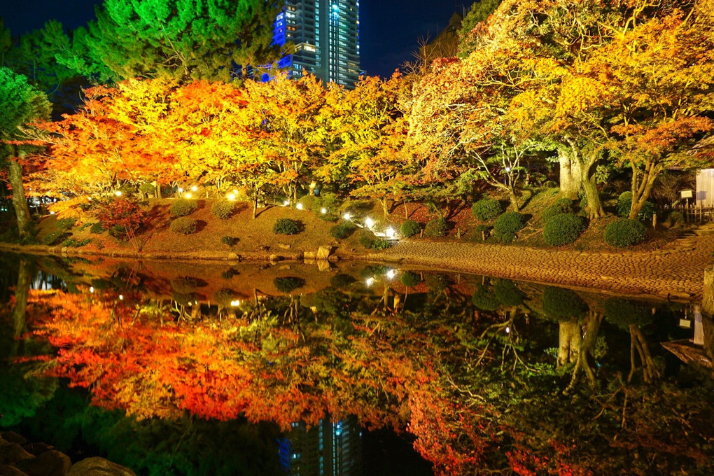 広島 縮景園のライトアップ