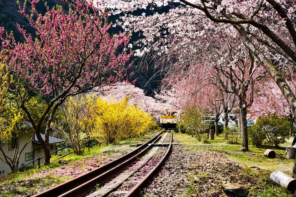 旧可部線　安野駅