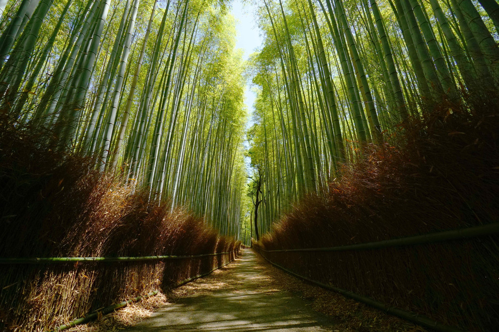 京の静寂