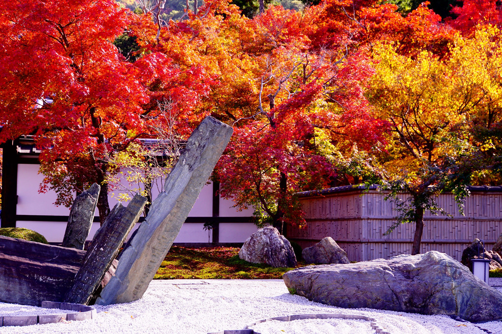 圓光寺　極みの秋