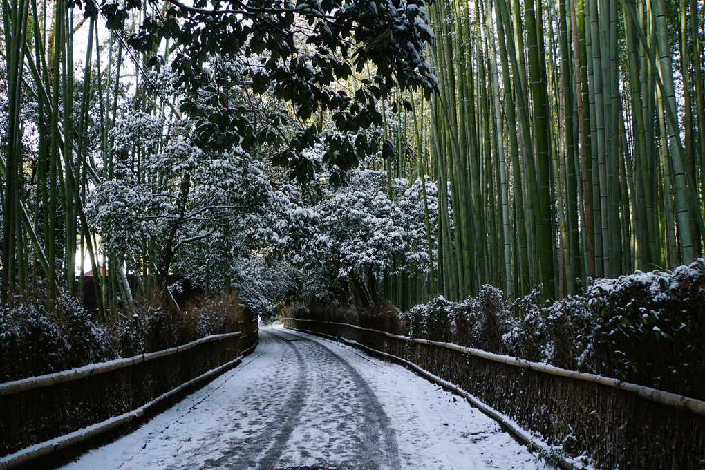 嵯峨野の雪景色