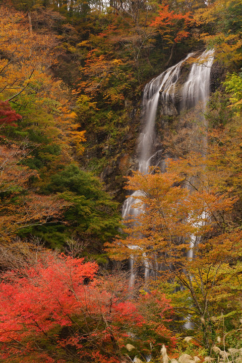紅葉と滝　