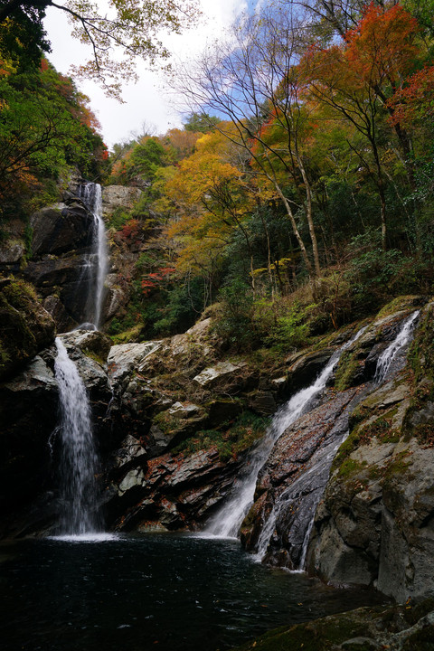 紅葉と滝　