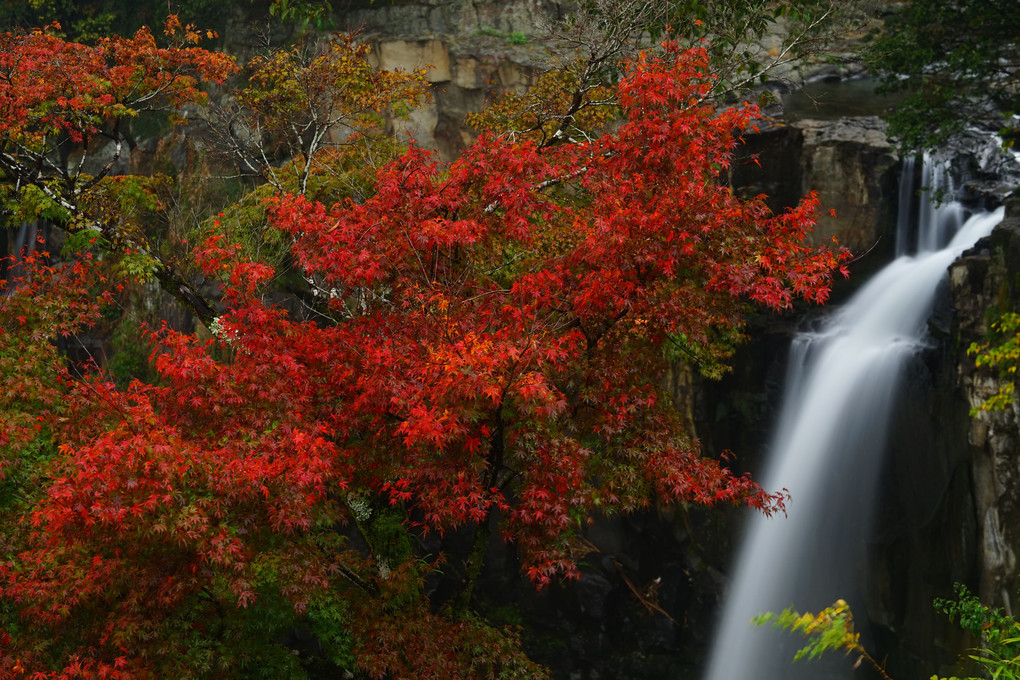 紅葉と滝２