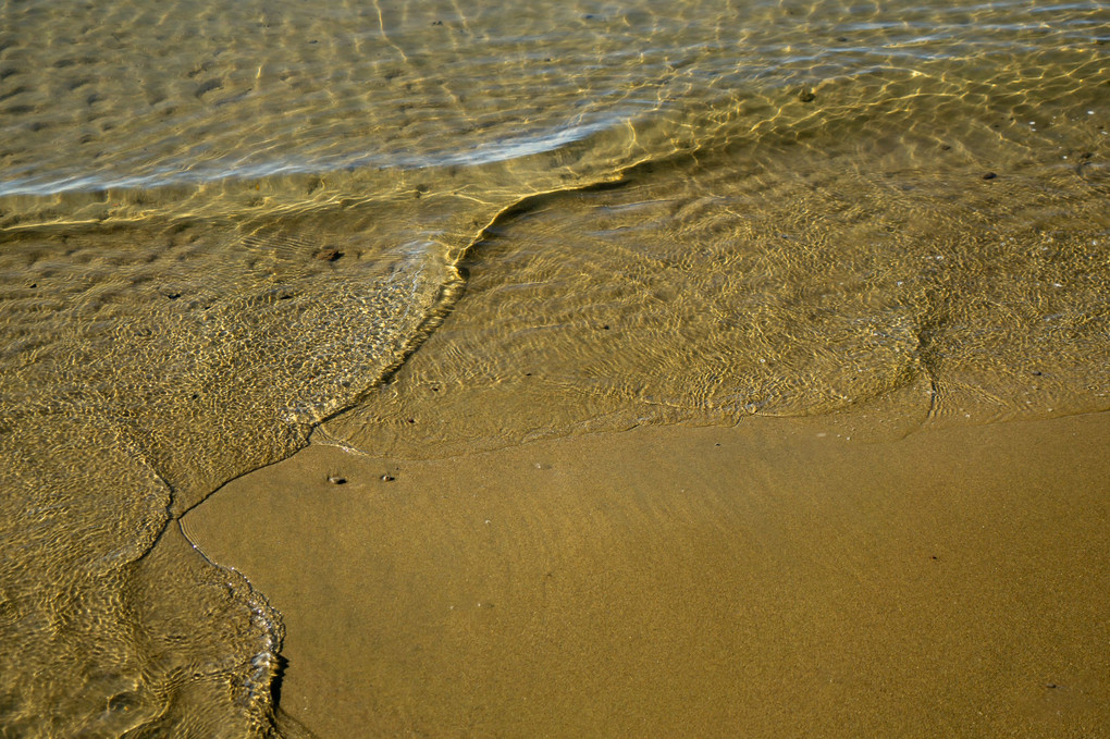 海岸の砂浜