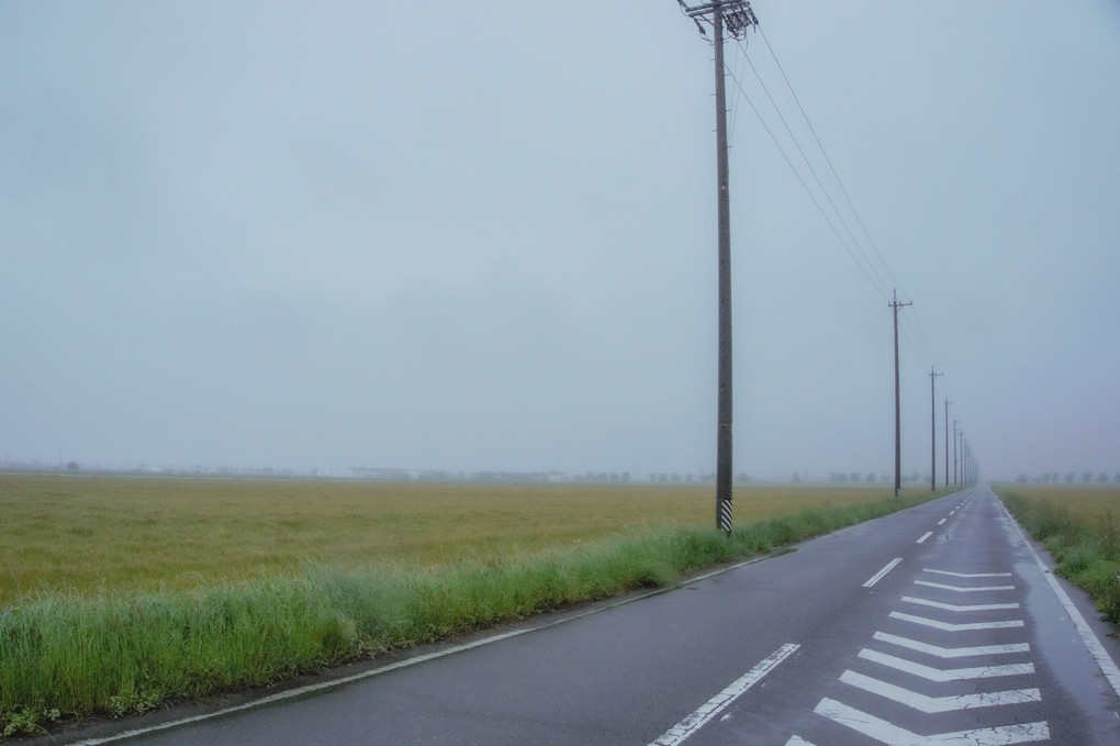 霧の海津田園