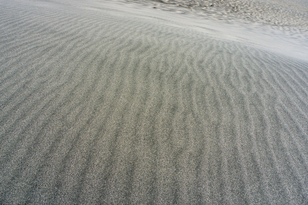 砂丘の景観