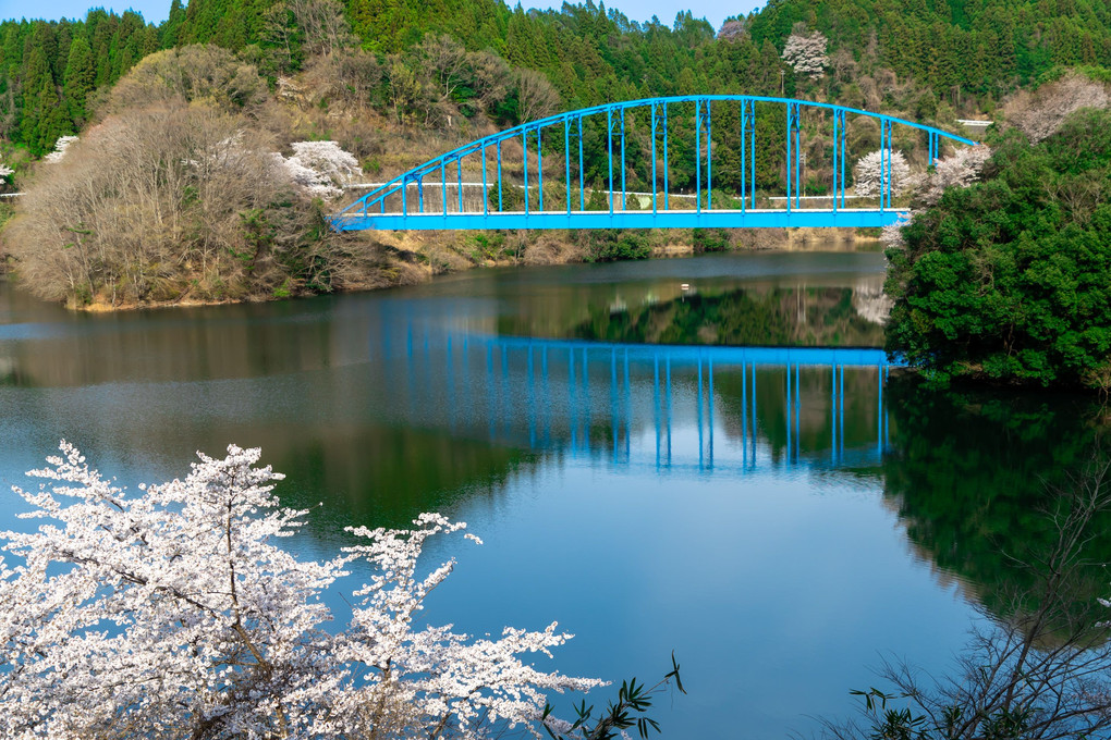 桜と赤い橋、青い橋