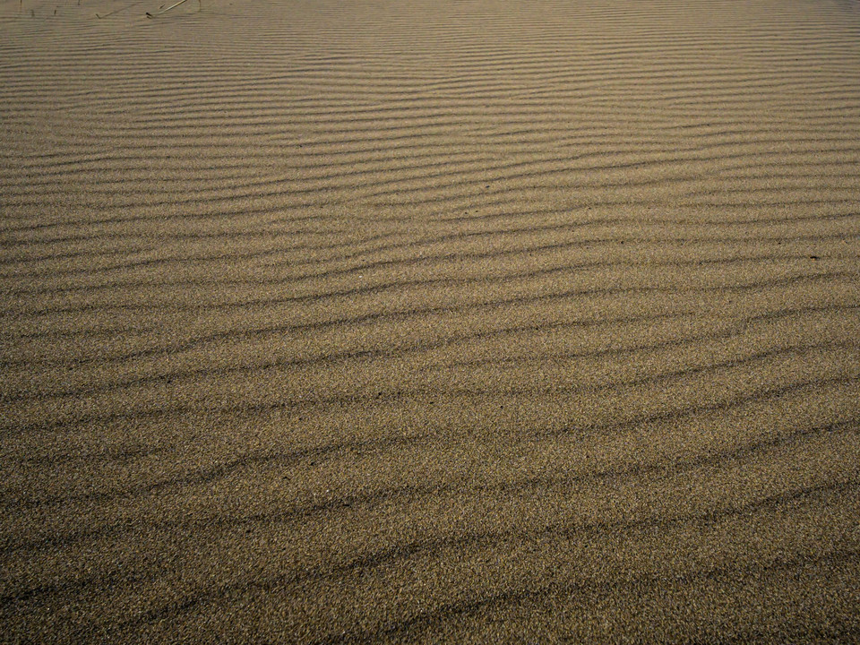 砂浜の風紋　揖斐長良川河口