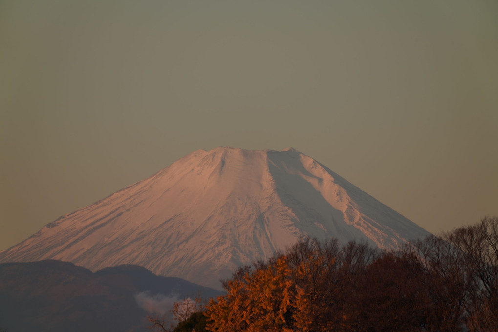 朝焼けの富士
