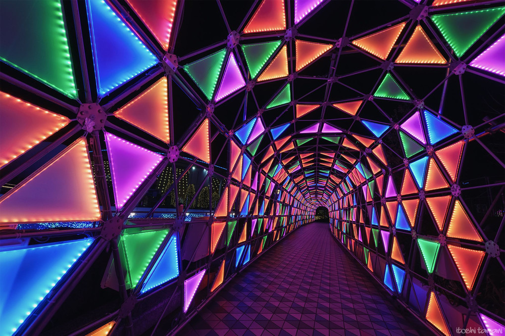 tunnel of lights