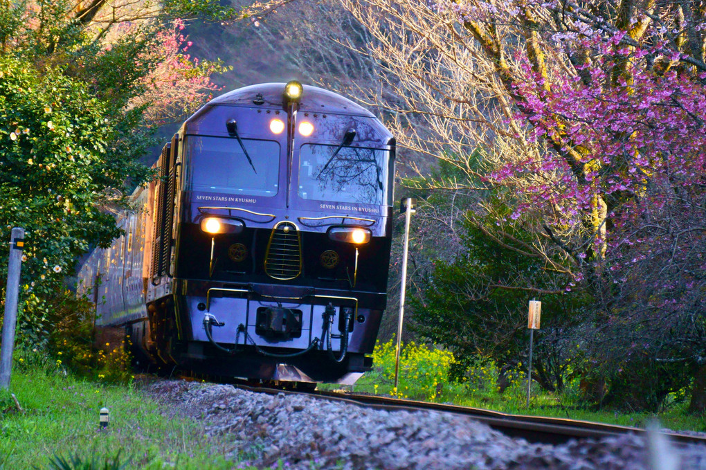 うららかな一日　鉄道に恋して♪