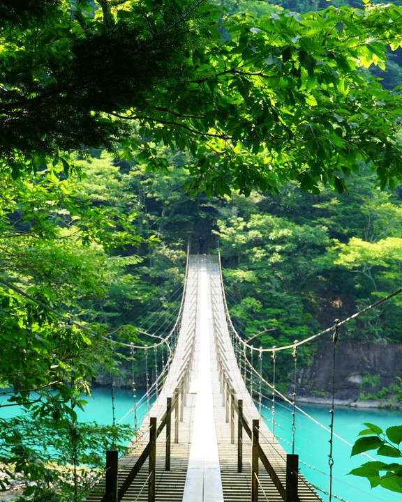 夢の吊り橋