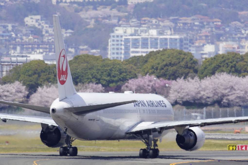 α cafe 受講の講座名：レンズ撮影体験　旅客機撮影