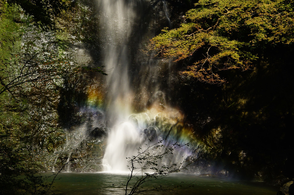 箕面の滝 明治の森散策