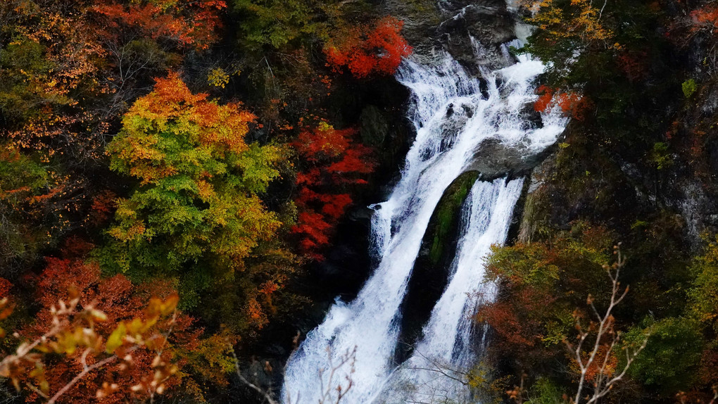 滝の秋