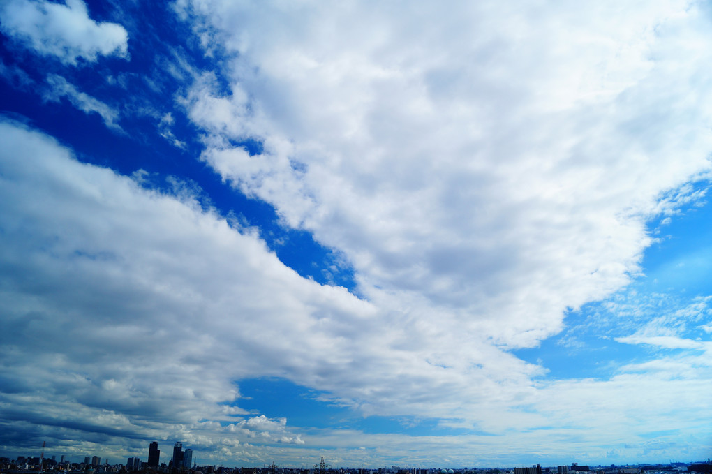 翼を広げて青空を飛ぶ