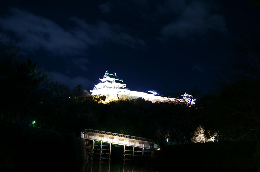 輝く和歌山城