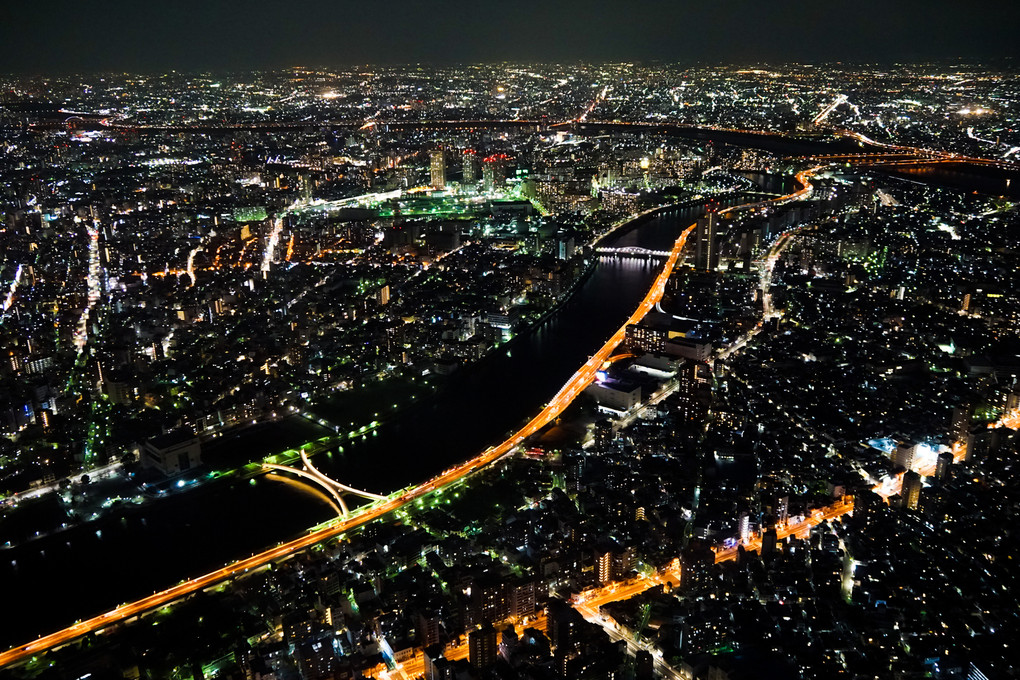 隅田川の夜景（遠景）
