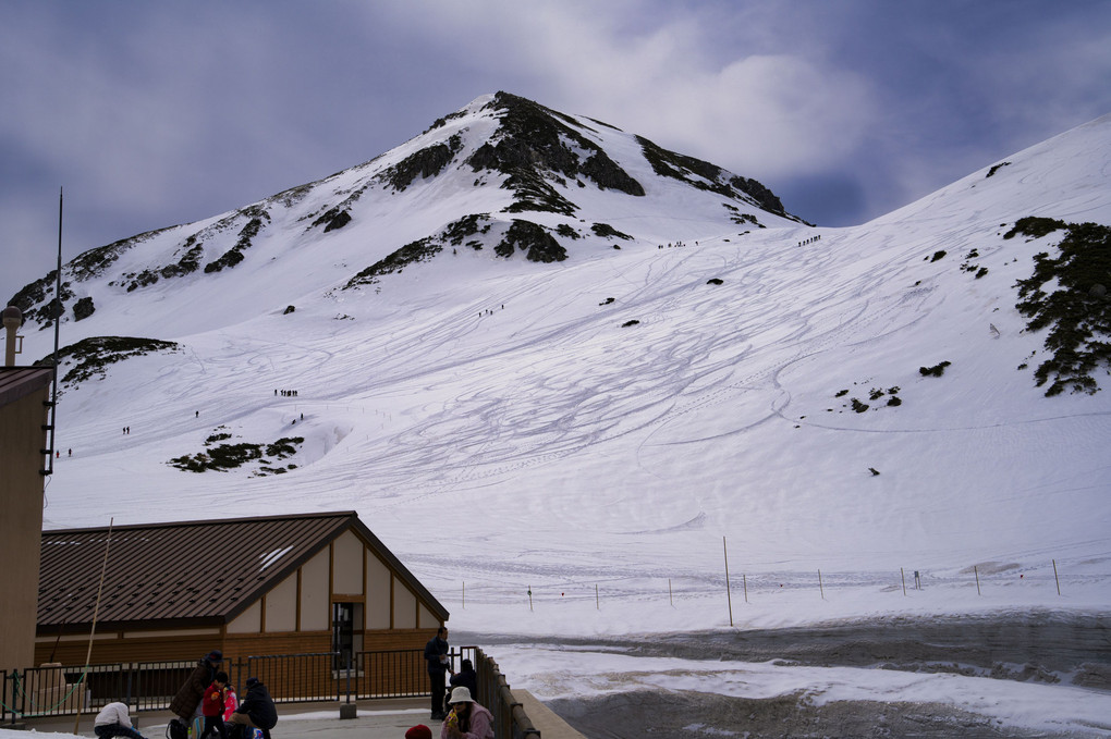 立山　雪の大谷