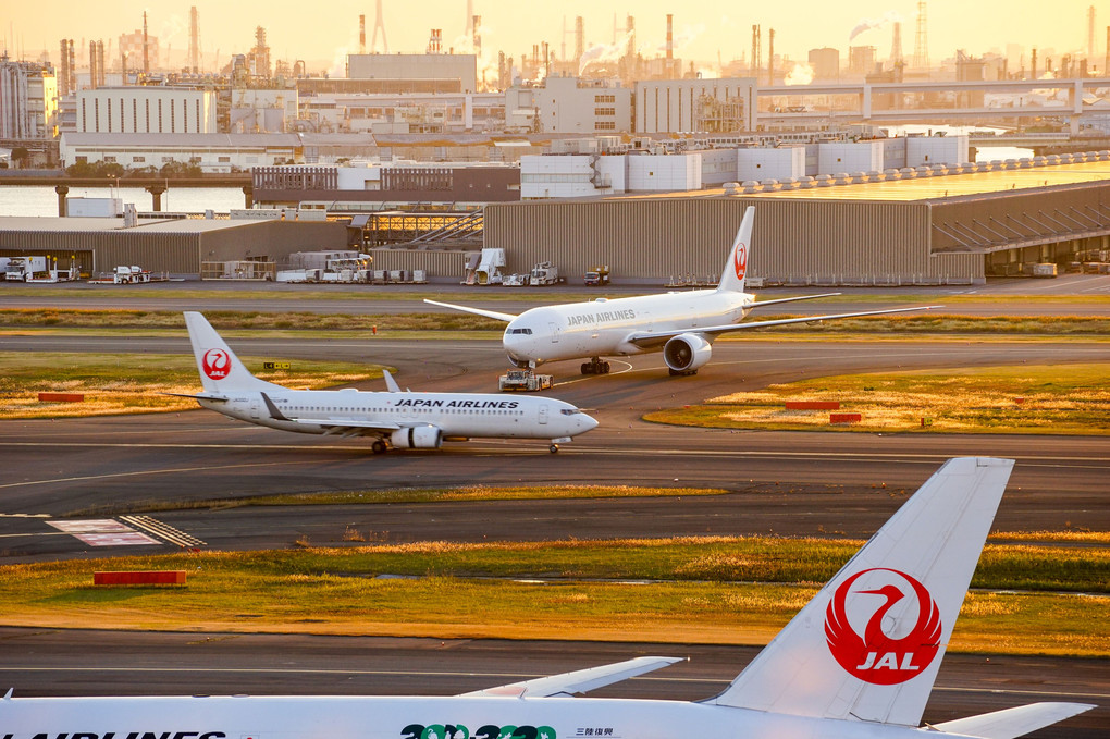 JAL×3