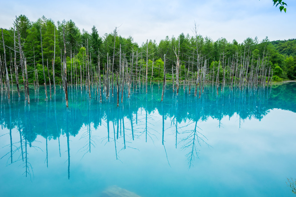 静寂の青い池