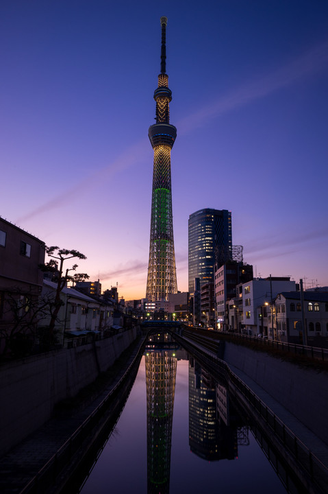Twilight Tokyo Sky Tree