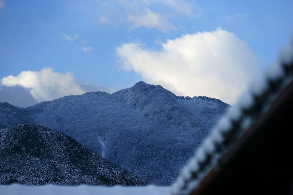 ＼(^0^)／雪の贈り物♪